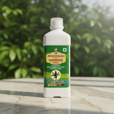 Urinary calculus, Cratnin, burning sensation in urine