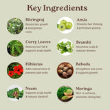 Key ingredients of Sanchomee Hair Mask